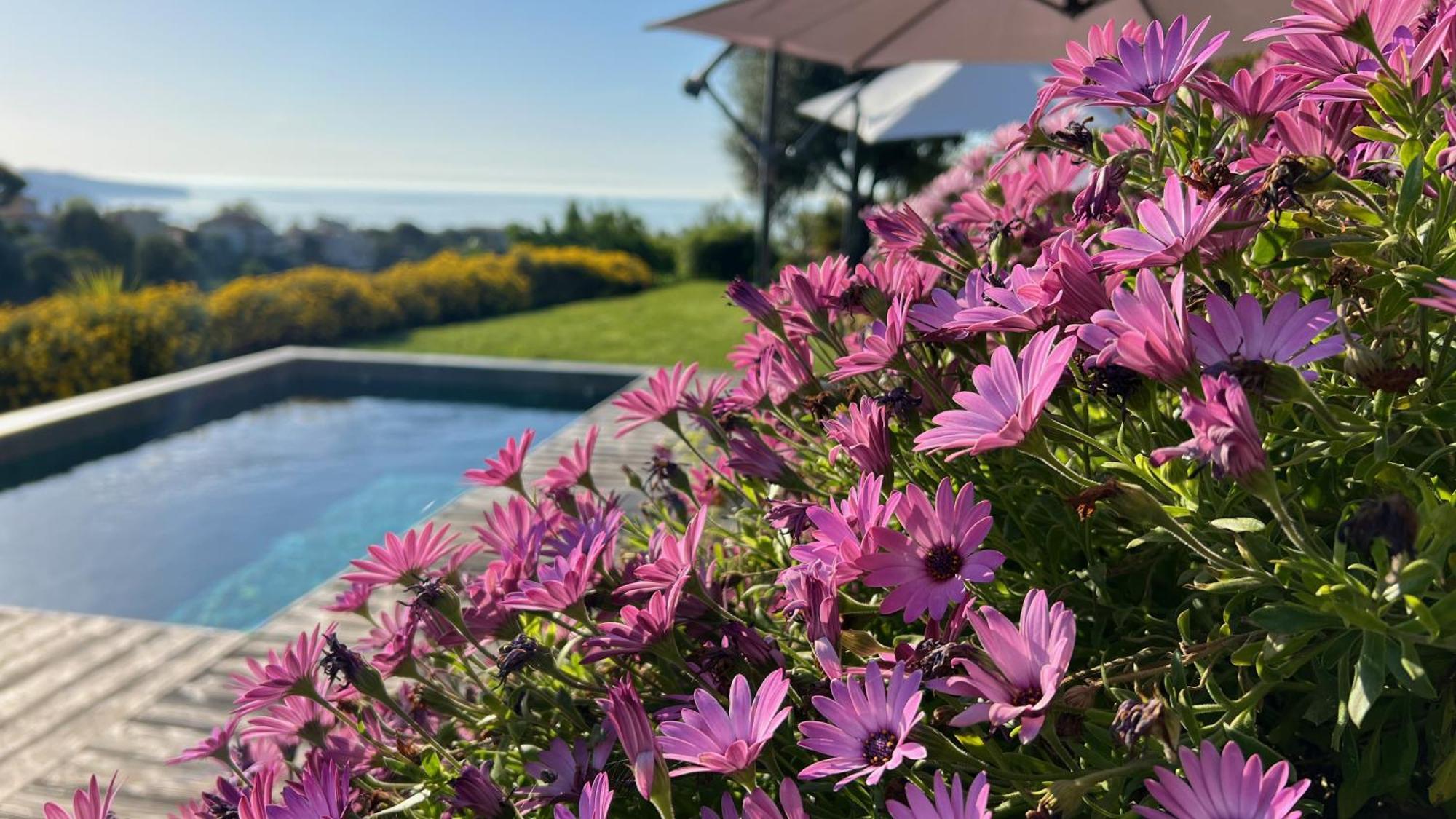 La Coulina Villa Nizza
